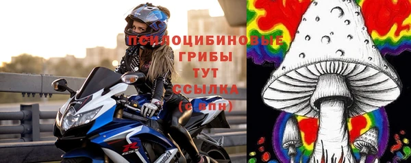 хмурый Балахна