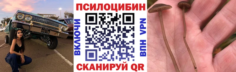 Псилоцибиновые грибы мухоморы  Олонец 